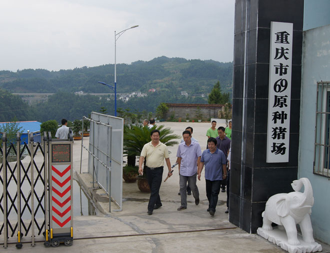 國家鄉村振興局副局長、原黔江區委書記洪天云視察重慶69